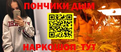 apvp Лесосибирск