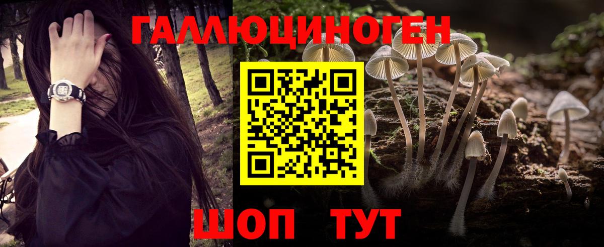 Галлюциногенные грибы GOLDEN TEACHER  Вход с VPN  Южноуральск 