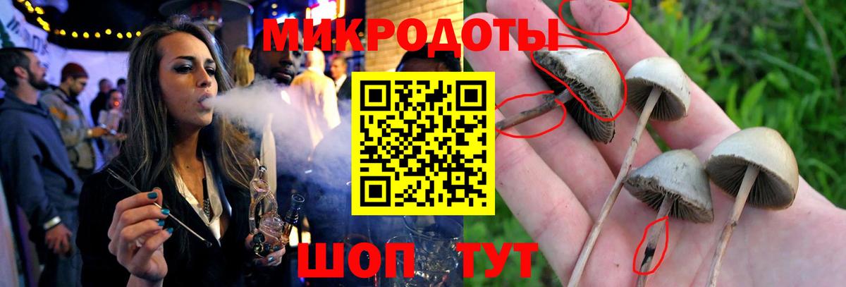 Галлюциногенные грибы Magic Shrooms Южноуральск